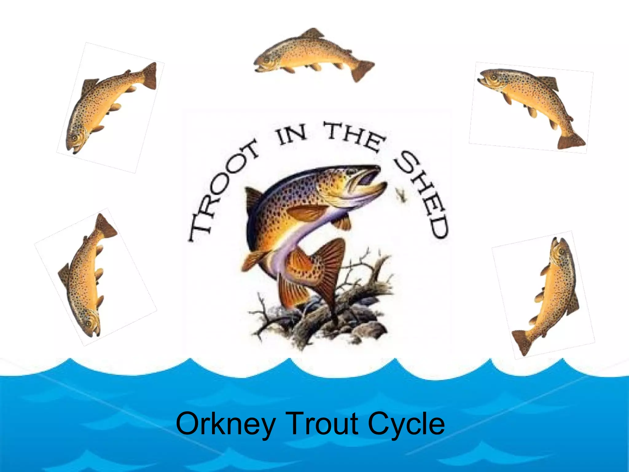 Troot Troot cycle | PPT