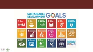 Animal and human health: A dangerous intersection or a healthy future?