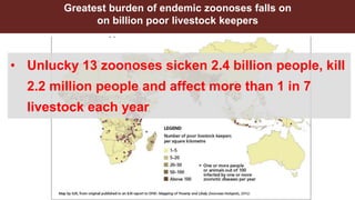 Animal and human health: A dangerous intersection or a healthy future?