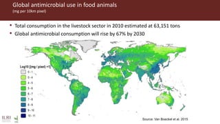 Animal and human health: A dangerous intersection or a healthy future?