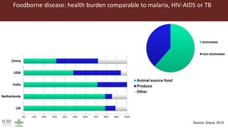 Animal and human health: A dangerous intersection or a healthy future?