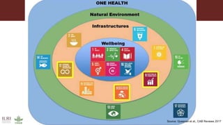 Animal and human health: A dangerous intersection or a healthy future?
