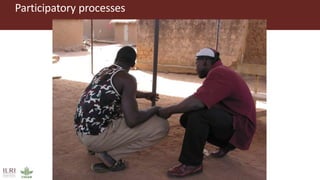 Animal and human health: A dangerous intersection or a healthy future?