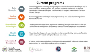 Centre for Tropical Livestock Genetics and Health (CTLGH)