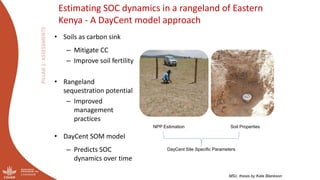 Optimizing the environmental footprint of livestock production