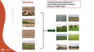 Optimizing the environmental footprint of livestock production