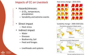 Optimizing the environmental footprint of livestock production