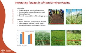 Optimizing the environmental footprint of livestock production