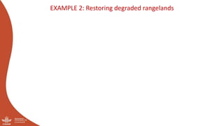 Optimizing the environmental footprint of livestock production