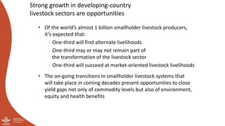 And what should we do today? Developing a research-for-development agenda for livestock