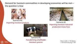 And what should we do today? Developing a research-for-development agenda for livestock