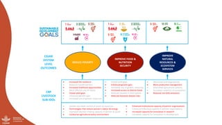 And what should we do today? Developing a research-for-development agenda for livestock