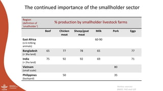 And what should we do today? Developing a research-for-development agenda for livestock