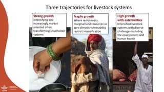 And what should we do today? Developing a research-for-development agenda for livestock
