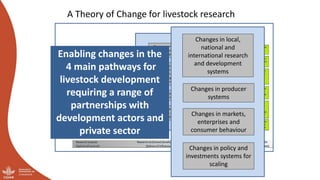 And what should we do today? Developing a research-for-development agenda for livestock