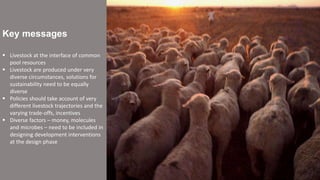Sustainable livestock—Integrated approaches for multiple benefits