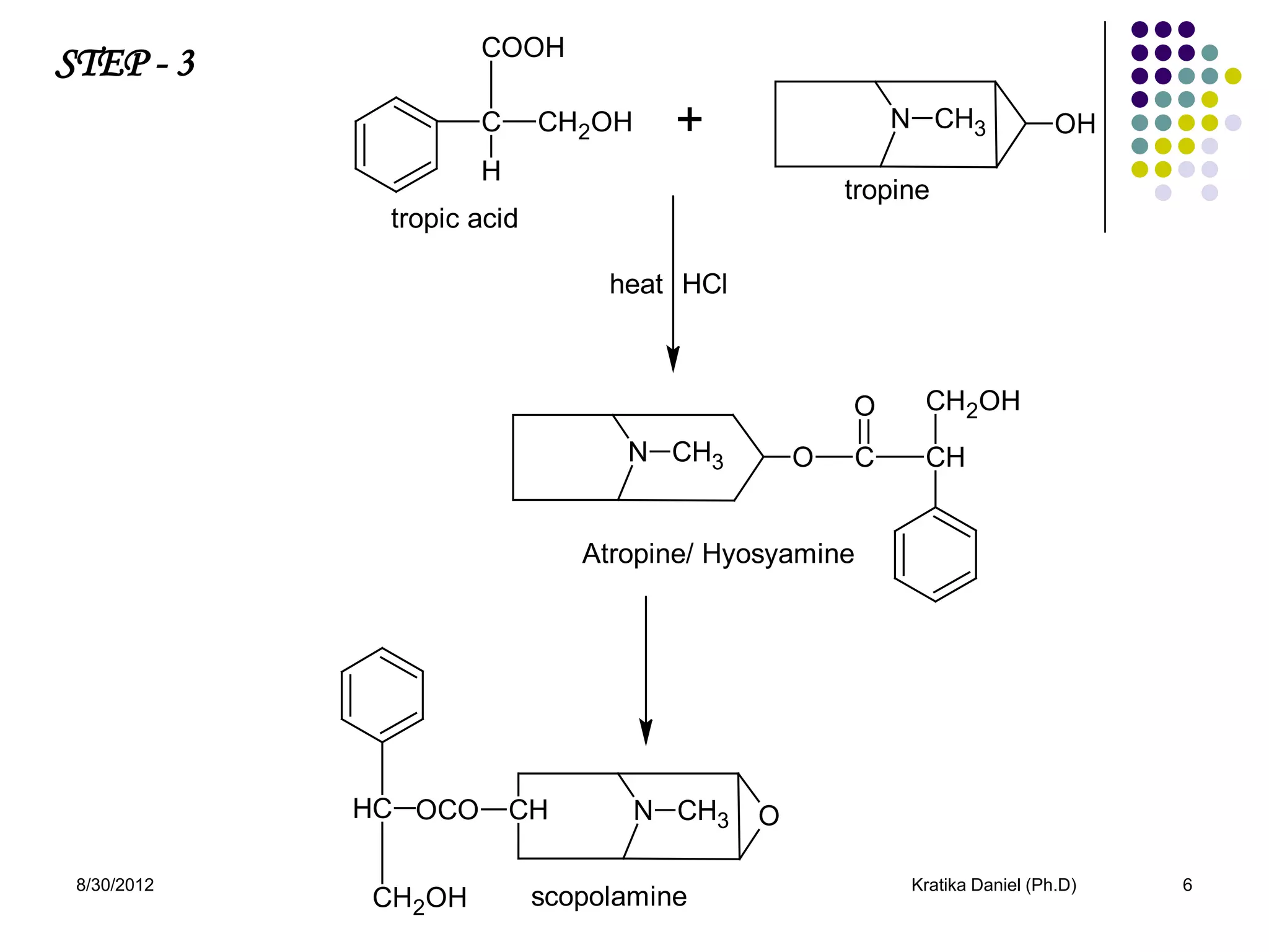 STEP - 3              COOH

                      C     CH2OH     +                 N CH3              OH
                      H
                                                    tropine
              tropic acid

                                 heat HCl



                                                    O     CH2OH
                                  N CH3         O   C     CH


                               Atropine/ Hyosyamine




             HC OCO       CH        N CH3   O

 8/30/2012                                               Kratika Daniel (Ph.D)   6
             CH2OH          scopolamine
 