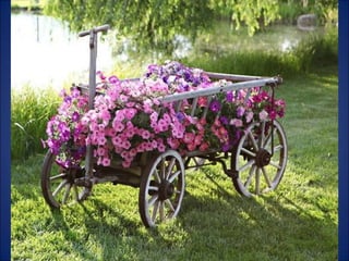 Trop beau