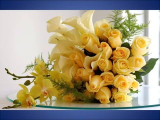 Trop beau