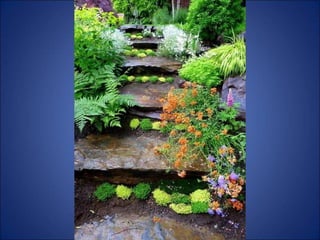 Trop beau