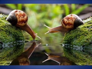 Trop beau