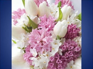 Trop beau