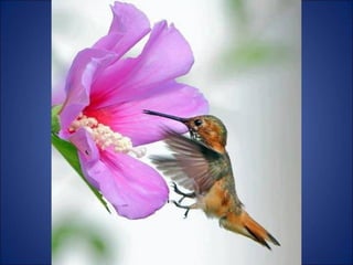 Trop beau