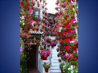 Trop beau