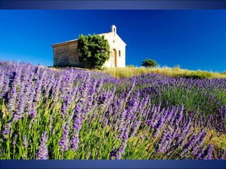Trop beau