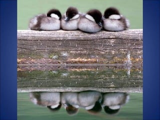 Trop beau