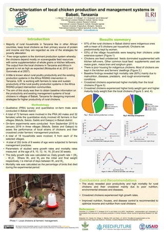 • Majority of rural households in Tanzania like in other African
countries, keep local chickens as their primary source of protein
and income and they are regarded as one of the strategies for
poverty alleviation
• Free range system is the dominant production system whereby
the chickens depend mostly on scavengeable feed resources
with some supplementation of whole grains or kitchen leftovers.
The output from the local chickens in Tanzania and Africa in
general is not as high as expected (Mutayoba et al, 2012 and
Goromela et al 2007).
• A little is known about rural poultry productivity and the existing
production systems in the Africa RISING intervention in
Tanzania. ILRI is working with farmers to raise and sustain
productivity of the rural poultry production systems in the Africa
RISING project intervention communities.
• The aim of this study was then to obtain baseline information on
the productivity and existing management systems of local
chickens in villages of Babati, Tanzania for designing improved
strategies for higher productivity of rural chickens.
Characterization of local chicken production and management systems in
Babati, Tanzania
L J Marwa1, 2 B Lukuyu3, S H Mbaga4, S K Mutayoba4 and M Bekunda5
1International Livestock Research Institute, Nairobi, Kenya
2Tanzania Livestock Research Institute
3International Livestock Research Institute, Kampala Uganda
4Sokoine University of Agriculture, Morogoro, Tanzania
5International Institute of Tropical Agriculture, Arusha, Tanzania
Corresponding author:: b.lukuyu@cgiar.org
Methodology
• Qualitative (PRA) survey and quantitative on-farm trials were
conducted in Babati district
• A total of 72 farmers were involved in the PRA (40 males and 32
females) while the quantitative study involved 40 farmers in four
villages (Matufa, Seloto, Sabilo and Galapo) in Babati district
• On-farm experiments were conducted from September 2015 to
January 2016 in three villages (Matufa, Seloto and Galapo) to
asses the performance of local strains of chickens and their
crossbred under farmers’ management practices.
• A total of 18 households were involved, 6 from each of the
selected villages.
• A total of 352 birds of 8 weeks of age were subjected to farmers
management practices.
• Parameters of studied were growth rates and mortality rates
measured at the age of 8, 10, 12, 14, 16, 20 and 30 weeks.
• The daily growth rate was calculated as: Daily growth rate = (W2
- W1)/t, Where W1 and W2 are the initial and final weight
respectively, t is interval of days between W1 and W2.
• Mortality rate was calculated as the percentage of birds that died
during the experimental period.
References
Goromela E H, Kwakkel R P, Verstegen M W A and Katule A M (2007). Identification characterisation and composition of
scavengeable feed resources for rural poultry production in Central Tanzania. African Journal of Agricultural Research 2:8: 380-
393
Mutayoba, S.K., Katule, A.K., Minga, U., Mtambo, M.M. and Olsen, J.E. (2012). The effect of supplementation on the
performance of free range local chickens in Tanzania. Livestock Research for Rural Development. 24(5).
• 97% of the rural chickens in Babati district were indigenous ones
with a mean of 5 chickens per household. Chickens we
predominantly kept by women.
• 53%) of the village households were keeping their chickens under
extensive system (Figure 1)
• Chickens are feed unbalanced feeds dominated supplemented with
kitchen left-overs. Other common local feed supplements used are
maize grain, maize bran and sorghum grain.
• There is poor housing for indigenous chickens. Most of chickens are
kept in the kitchen and farmers’ dwellings (Figure 2.)
• Baseline findings revealed high mortality rate (60%) mainly due to
malnutrition, diseases, predators, and rough environmental
conditions.
• Crossbred chickens experienced higher mortality than the local
chickens (Figure 5)
• Crossbred chickens experienced higher body weight gain and higher
maturity body weight than the local chickens (Figure 3. and. 4).
Conclusions and Recommendations
• The study revealed poor productivity and high mortality for rural
chickens and their crossbred mainly due to poor nutrition,
environmental stresses and diseases.
• Crossbred chickens experienced high growth rates.
• Improved nutrition, houses, and disease control is recommended to
optimize income and nutrition from rural chickens
Introduction Results summary
Photo 1: Local chickens at farmers’ management.
Tropentag Sept 2016
We thank all donors that globally support our work through their contributions to the CGIAR system
This poster is licensed for use under the Creative Commons Attribution 4.0 International Licence (September 2016)
Tropentag, September 19-21 2016 in Vienna, Austria
“Solidarity in a competing world — fair use of resource
 