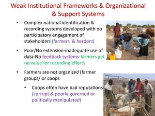 Challenges of animal performance recording in low‐input systems