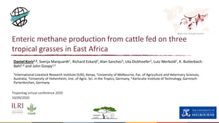 Better lives through livestock
Enteric methane production from cattle fed on three
tropical grasses in East Africa
Daniel Korir1,2, Svenja Marquardt1, Richard Eckard2, Alan Sanchez3, Uta Dickhoefer3, Lutz Merbold1, K. Butterbach-
Bahl1,4 and John Goopy1,2
1International Livestock Research Institute (ILRI), Kenya, 2University of Melbourne, Fac. of Agriculture and Veterinary Sciences,
Australia, 3University of Hohenheim, Inst. of Agric. Sci. in the Tropics, Germany, 4 Karlsruhe Institute of Technology, Garmisch-
Partenkirchen, Germany
Tropentag virtual conference 2020
10/09/2020
 