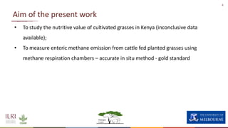 Enteric methane production from cattle fed on three tropical grasses in East Africa