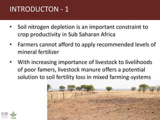 Importance of livestock manure in crop production in Tanzania