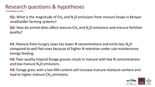 Greenhouse gas emissions and fertiliser quality from cattle manure Heaps in Kenya  