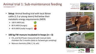 Greenhouse gas emissions and fertiliser quality from cattle manure Heaps in Kenya  