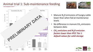 Greenhouse gas emissions and fertiliser quality from cattle manure Heaps in Kenya  