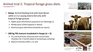 Greenhouse gas emissions and fertiliser quality from cattle manure Heaps in Kenya  