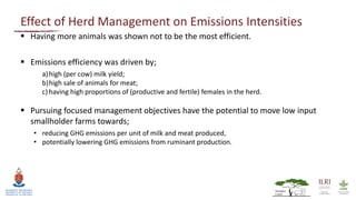 Quantifying greenhouse gas emissions attributable to smallholder livestock systems in western Kenya: Cradle to farm gate life cycle assessment