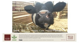 Quantifying greenhouse gas emissions attributable to smallholder livestock systems in western Kenya: Cradle to farm gate life cycle assessment