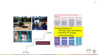 Healthy animals for healthy lives in low- and middle-income countries
