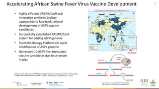 Healthy animals for healthy lives in low- and middle-income countries