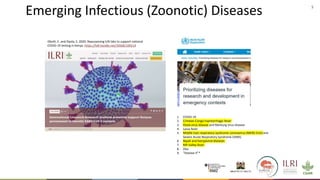 Healthy animals for healthy lives in low- and middle-income countries