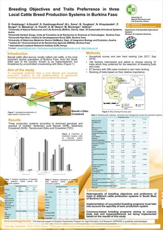 University of Natural Resources and Life Sciences, Vienna
Department of Sustainable Agricultural Systems
Breeding Objectives and Traits Preferrence in three
Local Cattle Breed Production Systems in Burkina Faso
D. Ouédraogo1, A.Soudré2, S. Ouédraogo-Koné3, B.L. Zoma1, B. Yougbare1, N. Khayatzadeh1, P.
Burger4, G. Mészáros1, A. Traoré5, A. M. Okeyo6, M. Wurzinger1, Sölkner1
1University of Natural Resources and Life Sciences (BOKU), Vienna, Dept. Of Sustainable Aricultural Systems,
Autria
2Universite Norbert Zongo, Unite de Formation et de Recherche en Sciences et Technologies , Burkina Faso
3Universite Nazi Boni, Institut du Developpement Rural (IDR), Burkina Faso
4University of Veterinary Medecine Vienna (VetMedu), Dept. of Integrative Biology and Evolution, Austria
5 Institut de l´Environnement et de Recherches Agricole (INERA), Burkina Faso
6 International Livestock Research Institute (ILRI), Kenya
Contact: ouedom@mail.com / dominique.ouedraogo@students.boku.ac.at https://boku.ac.at
Introduction
Baoulé cattle (Bos taurus), locally called Lobi cattle, is the most
important taurine population of Burkina Faso, from the South
West part of the country. Known to be trypanotolerant, but
threatened by uncontrolled crossbreding with Zebu (Figure 1).
Aim of the study
To investigate preferred traits in pure Baoulé and crossbred
production systems for the implementation of appropriate
breeding programs to improve and conserve the breed.
Methods
• Household survey and own herd ranking (Jan 2017, Sep
2018)
• 194 farmers interviewed and asked to choose among 10
traits which they preferred for the selection of breeding bulls
and cows
• 67 farmers with 268 cows involved in own herd ranking
• Ranking of traits based on their relative importance
Results
Three production systems according to dominant genotype and
practice of mobility: Sedentary pure Baoulé (SPB), Sedentary
Crossbred (SCB), Transhumant Zebu and Crossbred (TZC).
Figure 1. Geographical distribution of
cattle breeds in Burkina Faso
Acknowledgements: The financial support of Austrian Partnership Program for High Education and Research (APPEAR) is gratefully acknowledged.
Conclusions
Heterogeneity of breeding objectives and preference of
traits in different cattle production systems in South West
of Burkina Faso
Implementation of successful breeding programs must take
into account the specifity of each production system
Communy-based breeding programs aiming to improve
body size and trypanotolerance are being implemented
based on the resulst of this study
Figure 3. Proportion of
household keeping cattle
for particular reason
across production systems
Figure 2. Map showing the study area
a
a
a
ns
ns
b
ab
ns
b
b
b
c
0
20
40
60
80
100
120
Cash income Meat Milk Saving Wealth status Social Others
Proportionofrespondents(%)
Reasons for keeping cattle
Sedentary pure baoule Sedentary crossbreed Transhumant Zebu and crossbreed
Department of Sustainable Agricultural
Systems
Division of Livestock Sciences
Baoulé
Baoulé x Zebu
Crossbred
Zebu
Production System
Criteria
SPB SCB TZC
Rank Rank Rank
Size 1 1 1
Coat Color 5 - -
Horns 9 8 8
Growth 3 2 3
Docility 2 4 4
Libido 7 7 7
Dam 4 3 2
Fattening ability 8 5 -
Sexual precocity - - 6
Adaptability 6 6 5
Table 1. Relative importance of breeding
cows selection criteria across the
production systems
Table 2. Relative importance of breeding
bulls selection criteria across the
production systems
Production System
Criteria
SPB SCB TZC
Rank Rank Rank
Survey
Size 1 1 1
Coat color 6 - -
Horns - - -
Calves Growth 3 2 4
Calves Survival 5 4 5
Birth freqency 4 5 6
Milk yield - 6 2
Sexual precocity - - 8
Mothering 2 3 7
Udder 7 7 3
Own herd ranking
Size 2 3 2
Milk yield 4 1 1
Fertility 1 2 3
Docility 3 4 -
Production system
Mating Practice SPB SCB TZC
P-value
Own Bulls (%) 0.10
Yes 95.00 97.30 100.00
No 5.00 2.70 0.00
Bulls service (%) 0.56
Own herd 3.51 2.78 1.03
Own and neighbour herd 96.49 97.22 98.97
Keeping bull purpose (%) < 0.0001
Mating 68.42a 100.00b 98.97b
Socio-cultural 1.75 0.00 0.00
Fattening 1.75 0.00 0.00
Mating and ploughing 28.07 0.00 1.03
Source of replacement bulls (%) 0.34
Young from own herd 96.67 97.30 100.00
Purchased 1.67 2.70 0.00
Others 1.67 0.00 0.00
Selection of best cows (%) < 0.0001
Yes 36.67a 59.46ab 77.32b
No 63.33 40.54 22.68
Selection of best bulls (%) < 0.0001
Yes 65.00a 97.30b 100.00b
No 35.00 2.70 0.00
Castration practice (%) < 0.0001
Yes 33.33a 64.86b 71.13b
No 66.67 35.14 28.87
Reasons of castration (%) < 0.0001
Mating control 50.00a 26.09b 44.93b
Fattening 10.00 0.00 1.45
Better temperement 40.00 52.17 8.70
Avoid fighting 0.00 21.74 44.93
Information about Artificial Insemination (%) < 0.0001
Yes 6.67a 16.22a 44.33b
No 93.33 83.78 55.67
Age of selection of males (Years)
Mean±SD 3.13±1.26a 2.83±0.51ab 2.72±0.71b *
Duration of breeding bulls use (Years)
Mean±SD 7.38±3.81 5.92±1.59 6.46±2.09 *
Age of castration of undesired bulls (Years)
Mean±SD 3.74±0.87a 3.00±0.51b 3.20±0.63b *
Table 3. Breeding bulls´selection, ownership and management across the production systems
Tropentag, September, 18-20, 2019 in Kassel "Filling gaps and removing traps for sustainable resources developement."
 