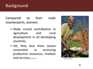 Using dairy hubs to improve farmers’ access to milk markets in Kenya: Gender and its implications