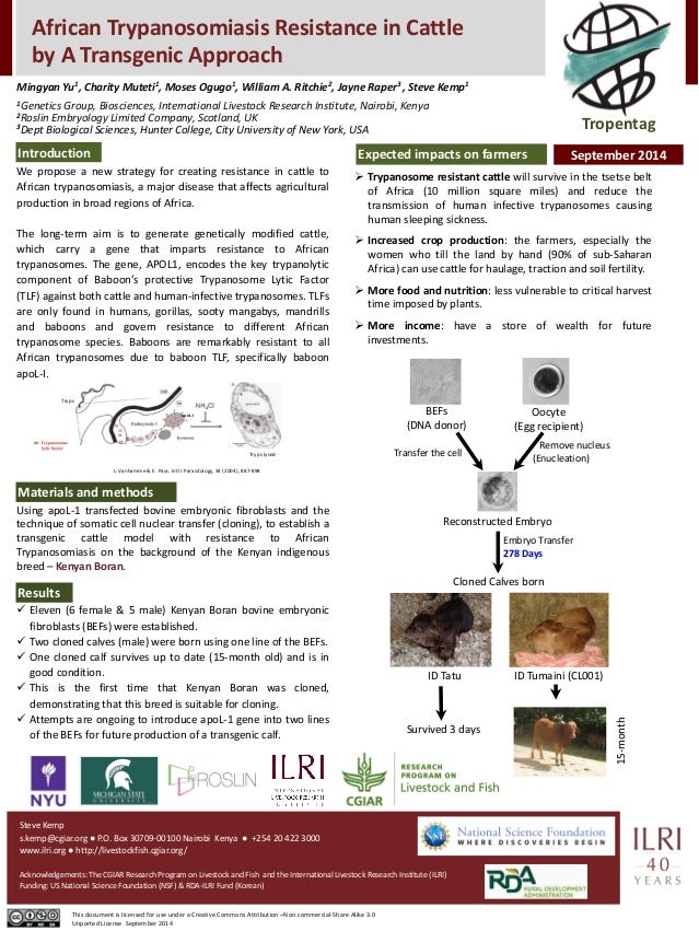 African Trypanosomiasis Resistance in Cattle by A Transgenic Approach 
Mingyan Yu1, Charity Muteti1, Moses Ogugo1, William...