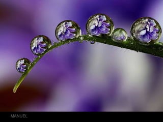 FOTOS SELECT AS 3 … 2011lMANUEL
 