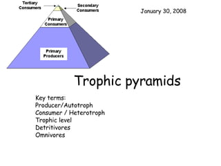 Trophic pyramids Key terms: Producer/Autotroph Consumer / Heterotroph Trophic level Detritivores Omnivores May 29, 2009 