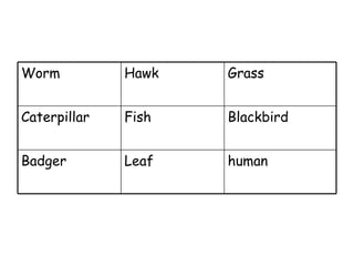 human Leaf Badger Blackbird Fish Caterpillar Grass Hawk Worm 